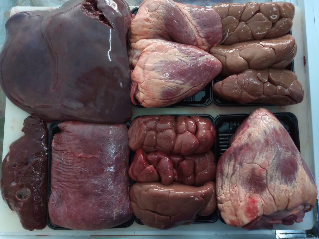 274700427_1040544116558594_1519494414168830249_n